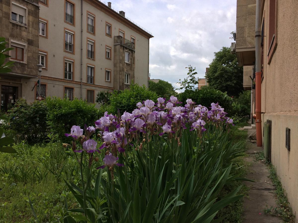 Írisz Apartman Budapeste Exterior foto